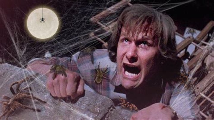 90’s horror-comedy Arachnophobia set for reboot