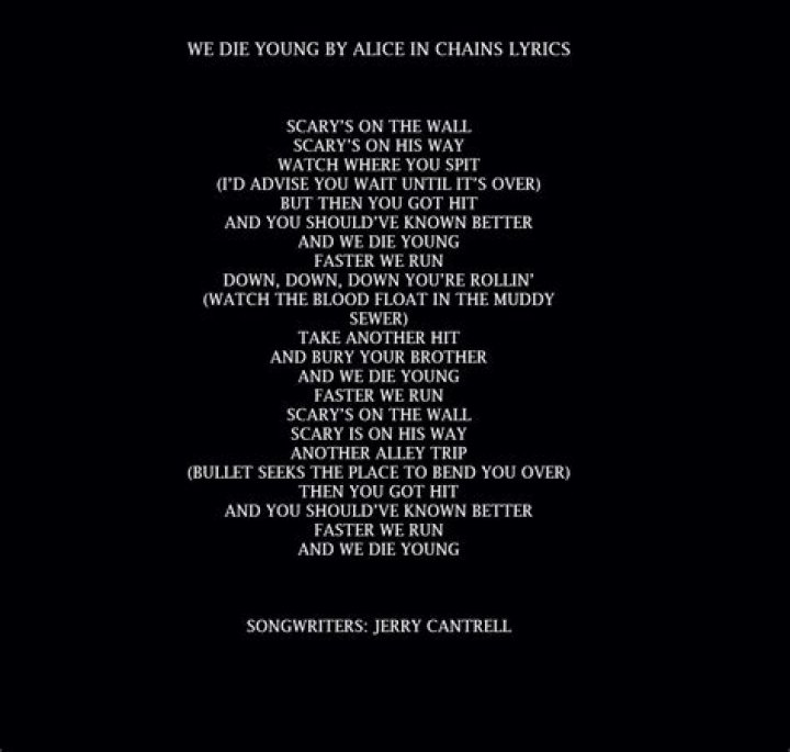 Alice In Chains’s
We Die Young Lyrics