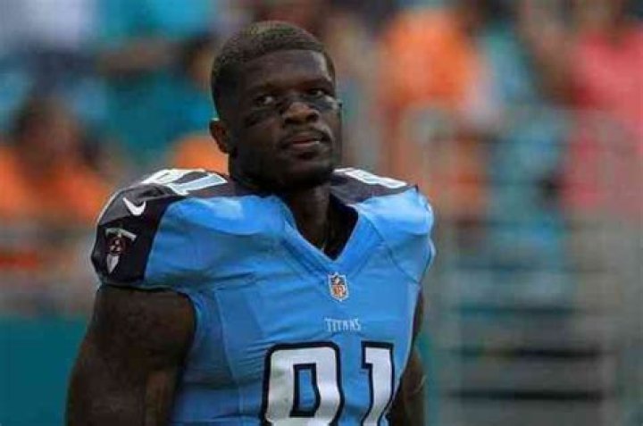 Andre Johnson - Net Worth, Age, Height, Birthday, Bio, Wiki!