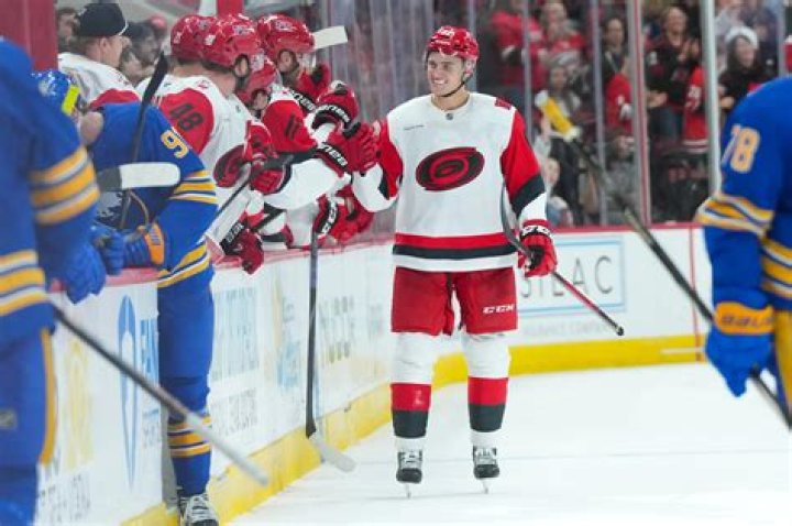 Andrei Svechnikov Age, Wikipedia, Biography, Children, Salary, Net Worth, Parents.