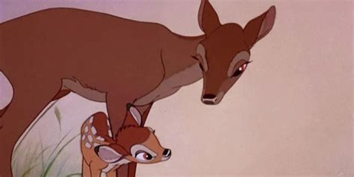 Bambi’s Boyfriend: Who is Bambi Dating?