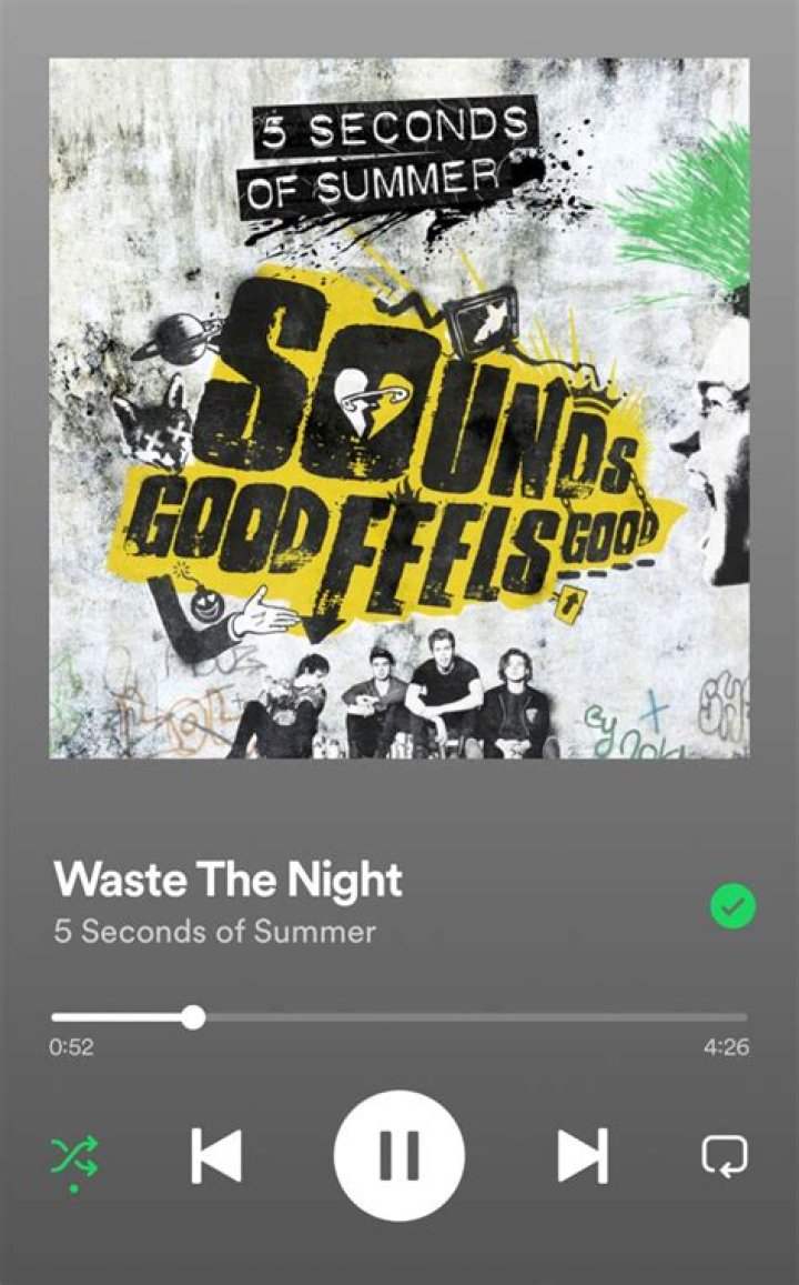 Beyond The Song: Waste The Night