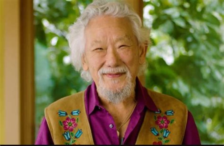 Daniel Suzuki Net Worth, Age, Height