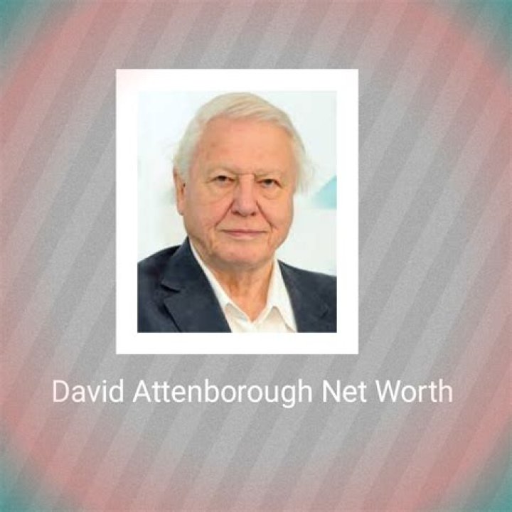 David Attenborough Net Worth: How Much Is David Attenborough Worth?