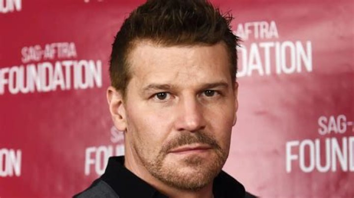 Fame | David Boreanaz net worth and salary income estimation Apr, 2024
