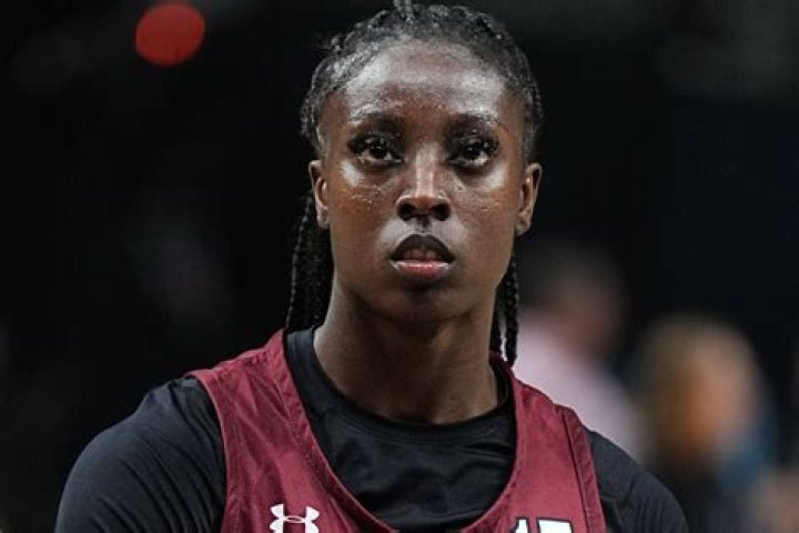 Fame | Laeticia Amihere net worth and salary income estimation Jan, 2024