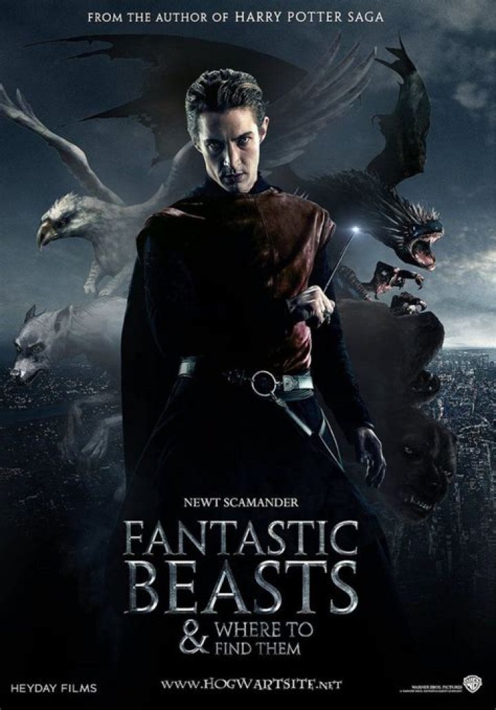 Harry Potter Spin Off 