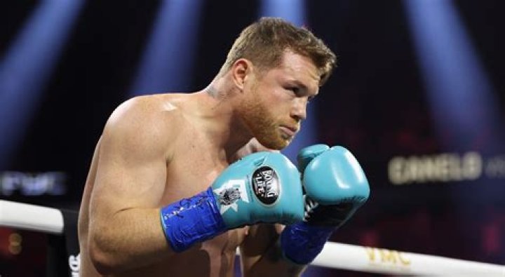 How many fights has Canelo Álvarez lost?