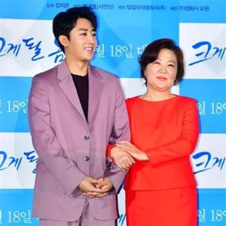 Kim Hae-sook Net Worth 2024, Age, Height, Bio, Birthday, Wiki!