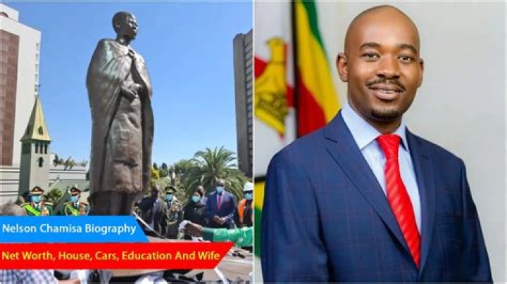 Nelson Chamisa Wife’s Age, Net Worth, House And Cars