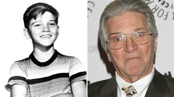 Paul Petersen Net Worth, Income, Salary, Earnings, Biography