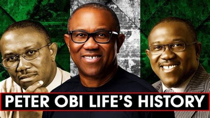 Peter Obi Companies: How Many Companies Does Peter Obi Have?