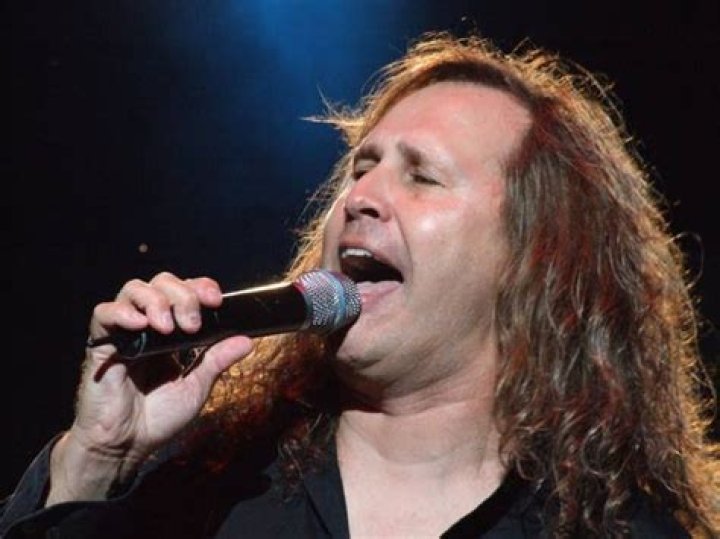 Ronnie Platt Wikipedia: Facts To Know About The Musical Artist