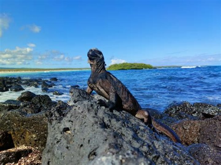 Top 10 Things To Do in the Galapagos