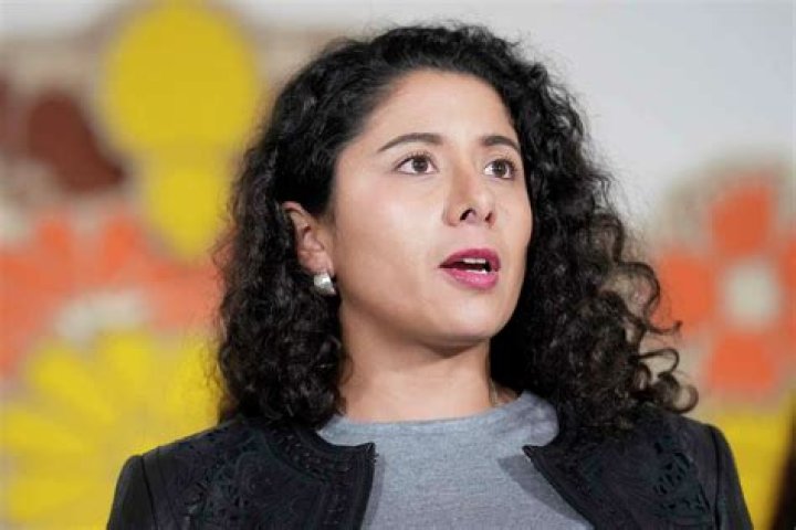 What Is Harris County Judge Lina Hidalgo Salary? Everything On Her Husband And Married Life