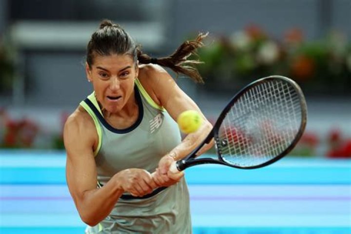 What is Mihai Cirstea’s Net Worth :Biography, Net Worth & more