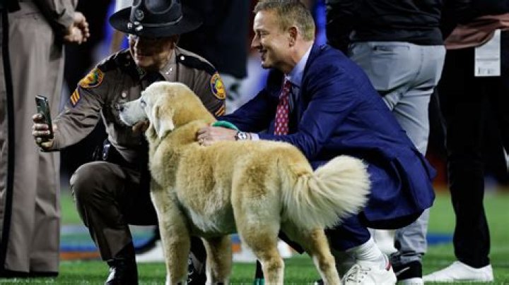 Why does Kirk Herbstreit Travel with his Dog? Who is Kirk Herbstreit?